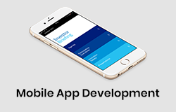 Mobile App Development