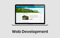 Web Development