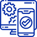 Custom Website Development