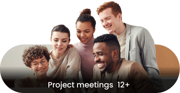 Project Meetings Project Meetings