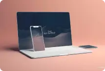 Flutter Web App Development