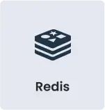 Redis