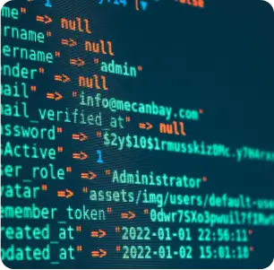 Digital Solutions We Offer - Travel API Integration
