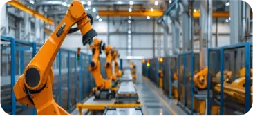 Future Plans - Automation Expansion