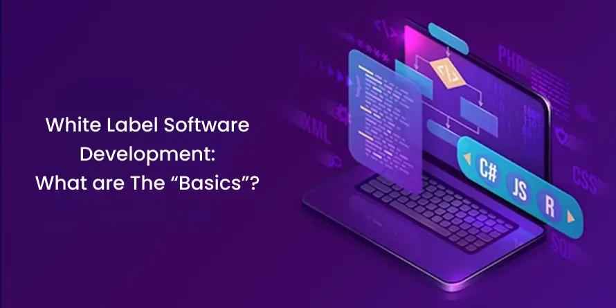 White Label Software Development: What are The “Basics”?