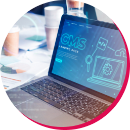 Hire Vuejs Developers CTA -1