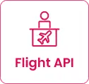 Flight API Integration Icon
